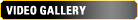 Video Gallery