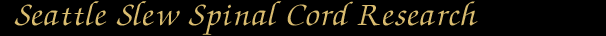 Seattle Slew Spinal Cord Research