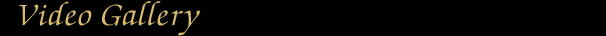 Video Gallery
